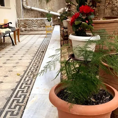 Quiet And Central Flat With Private Backyard Garden Athens Exterior photo