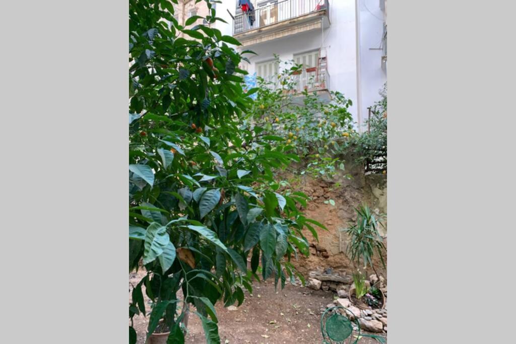 Quiet And Flat With Private Backyard Garden Athens
