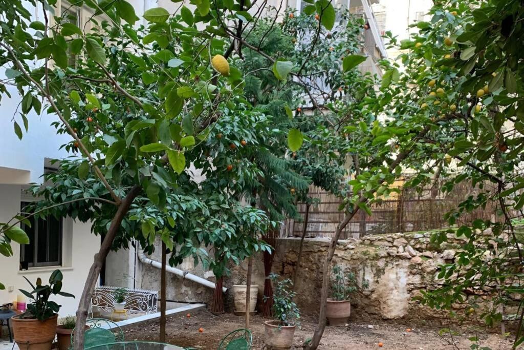 Quiet And Flat With Private Backyard Garden Apartment *